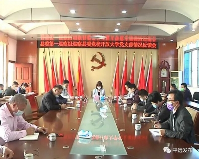 平远县召开十三届县委第八轮巡察反馈会