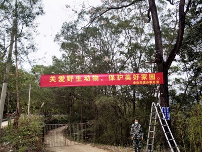 “线上+线下”齐发力，梅江区金山街道多措并举做好野生动物保护宣传