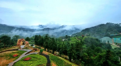 春光无限好！丰顺正踏着春天的脚步，慢慢“复苏”...