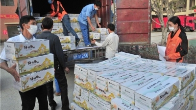  “滞销”变“畅销”！2万多斤梅塘杨桃刚刚运往五华