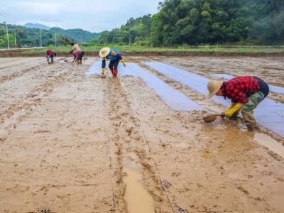 本报评论员文章：夺取脱贫攻坚全面胜利 