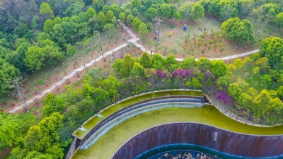 种梅添花、还有绿道！梅花山森林公园越来越靓了