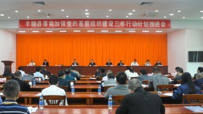 丰顺县召开落实加强党的基层组织建设三年行动计划推进会