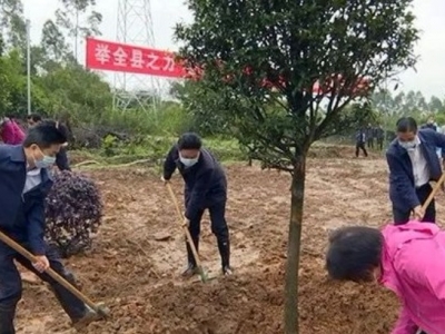 领导干部齐带头，寿乡蕉岭添新绿