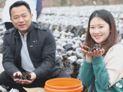 蕉岭县广福镇：镇长“代言”  兴产业 促脱贫