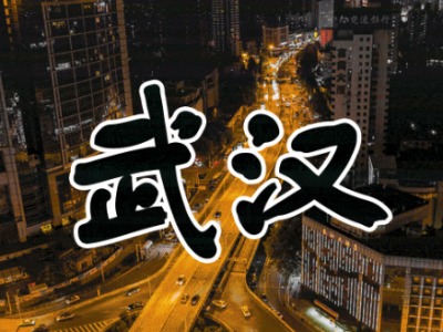 武汉将继续强化小区封闭管理：绝不放过任何一个传染源