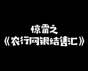 V视丨惊雷之《农行网银结售汇》