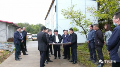 宋才华杨栋调研重点项目建设