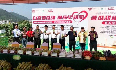 卖了6万斤、总销售额约25万元…梅江白宫苦瓜走进直播间，苦尽甘来！