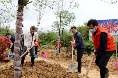 春回大地，草木吐绿！大埔县举行2020年义务植树活动