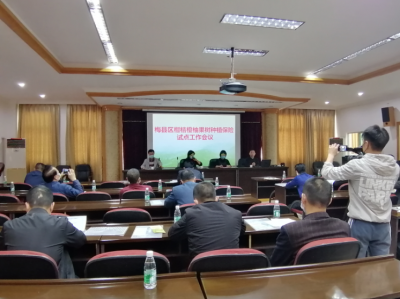 梅县4镇给果树上“保险”啦，让果农们吃上这颗“定心丸”...    