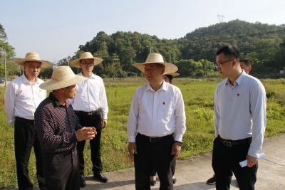 朱国城率队到长沙镇调研：打响美丽乡村品牌  提升群众生活品质