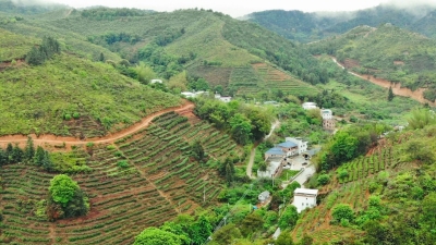 村民感叹从没想过在家门口走上致富路！梅州这样助力农村脱贫摘帽