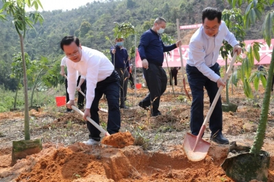 努力让丰顺大地更绿更美更富！曾永祥、廖茂忠率队参加全民义务植树活动 
