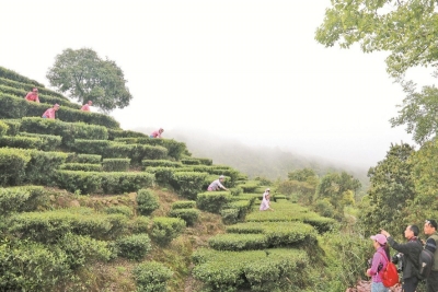 梅江周末·梅水