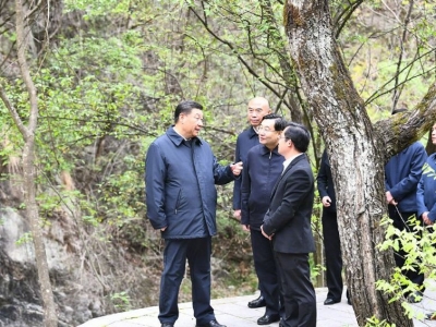 习近平在陕西考察秦岭生态保护情况