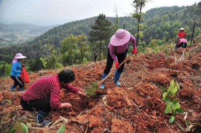 梅片产业的“专属定制”来了！最高授信30万！