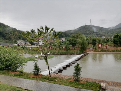 微雨绵绵，约会春天！ 这个清明节，梅州人在家门口踏青...