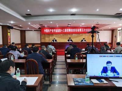 平远县纪委十三届五次全会举行第二次大会