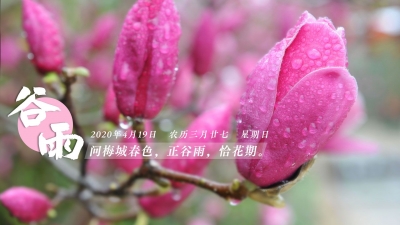 今日谷雨，你准备好迎接夏天了吗？
