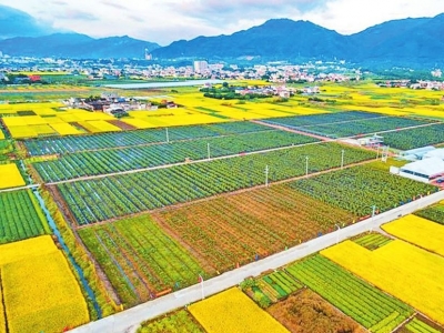 梅州市场粮食供应是否充足？市农业农村局负责人做客“行风热线”答市民问