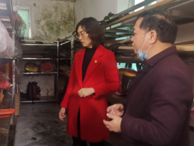 吴晓晖到梅县区梅南镇检查森林防灭火工作：完善应急机制筑牢防火“安全网” 