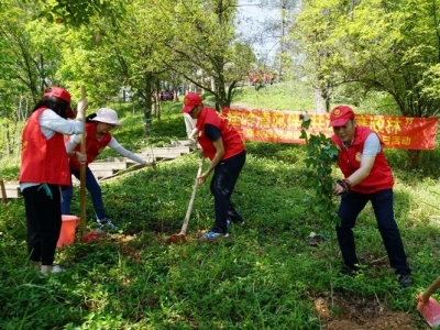 共造“廉政林”！“五四”将近，蕉岭这群人挥锄弯腰...