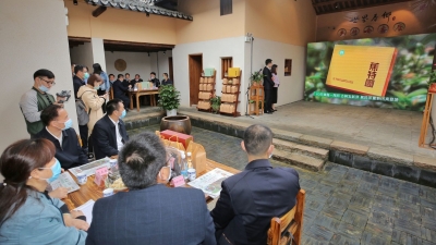 清茗香萦室！蕉特名茶焕新登场