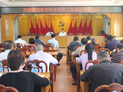 冲刺脱贫“大考”！西阳镇全力攻克最后堡垒