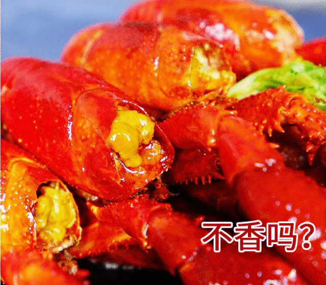 湖北小龙虾滞销？！我大广东吃货不允许！