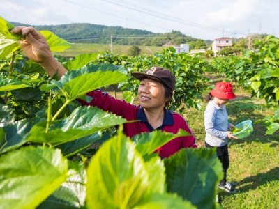 特色产业+就业！梅县区田头村按下脱贫攻坚“快进键”