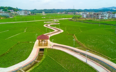 进一步加快推进乡村特色产业高质量发展！梅州印发这个意见