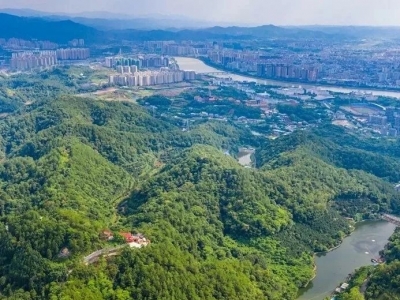 学习笃行丨发展绿色产业 赋能高质量发展