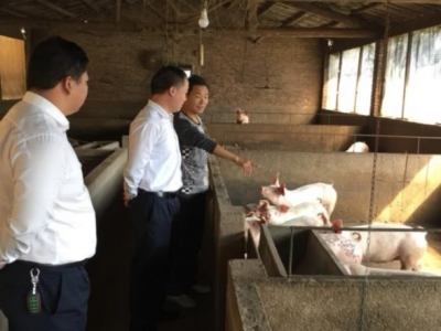 摘下“穷”帽子！兴宁这家企业为他送来了“扶贫猪”...