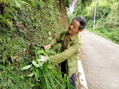 西阳北联一耄耋老人“痴路”数十载