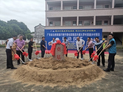 有奔头！“强强联手”助力丰顺大罗村美丽蜕变