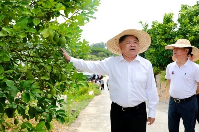 五华县召开柚果产业发展工作现场会
