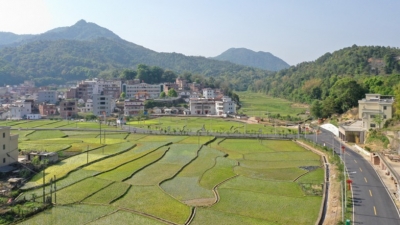 丰顺丨乡村美丽民风淳  产业兴旺百姓富