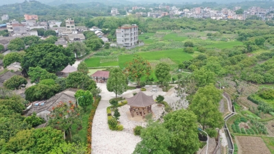 颜值气质大提升！来看丰顺新岭村新农村建设成果...