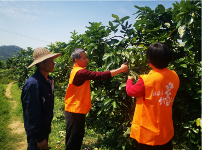 授人以渔！梅县区乡村志愿服务队到石扇镇西南村开展服务