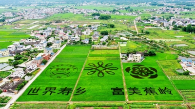 五月寿乡，生机盎然！这幅彩稻画图文并茂、大气磅礴，邀您来赏