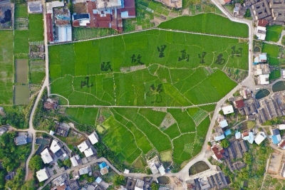 青田绘飞鹤、河道忆风眠~感受西阳美丽乡村