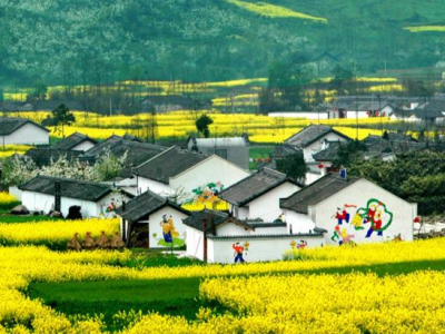 茶座丨乡村旅游生命力在于特色内涵