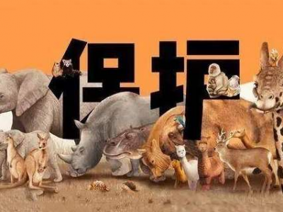 @五华人 发现涉野生动物违法犯罪线索，请拨打这个电话