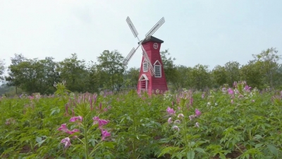 平远：发展全域旅游，复苏文旅提振市场