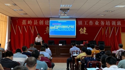 蕉岭举办创建省卫生镇工作业务培训班