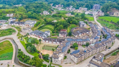 大埔大麻：连点成线，打造乡村振兴“升级版”样本！