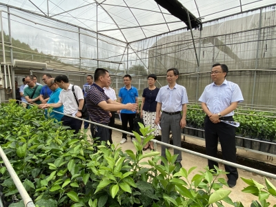 陆华忠来梅调研梅州柚优势产区现代农业产业园建设工作