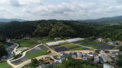 人间四月芳菲尽，山花开遍平远县