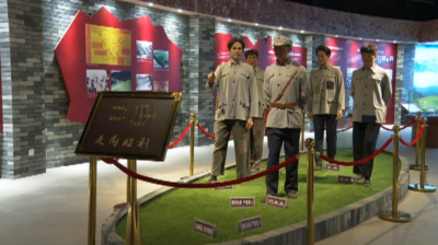 第44个国际博物馆日，大埔县博物馆“线上线下”精彩纷呈